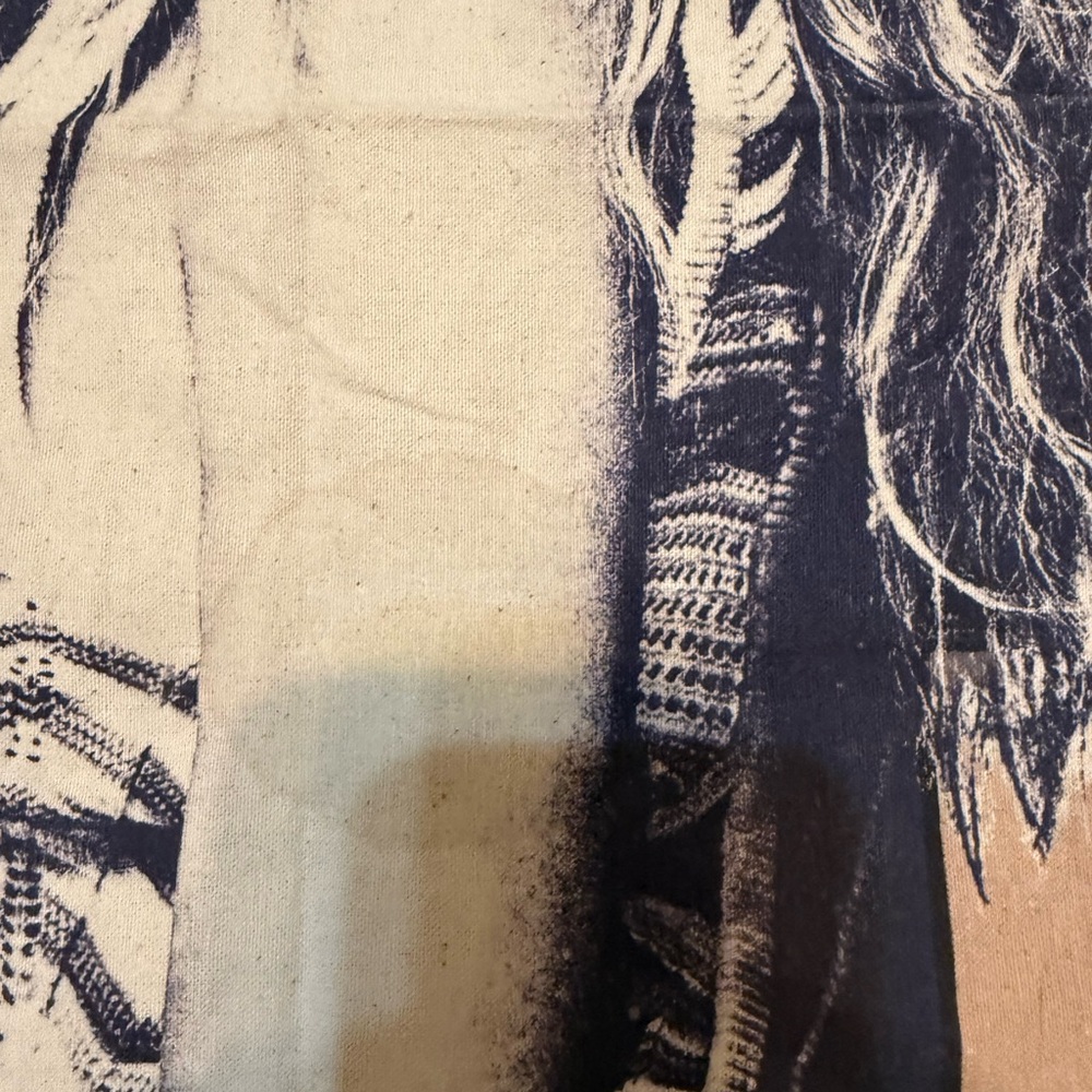 Taylor Swift The Eras Tour Tapestry - Picture 6 of 7